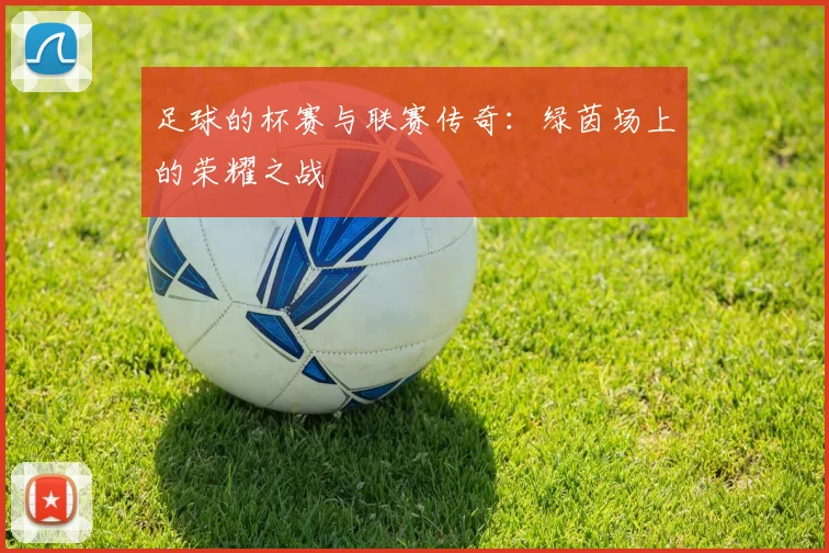 足球的杯赛与联赛传奇：绿茵场上的荣耀之战